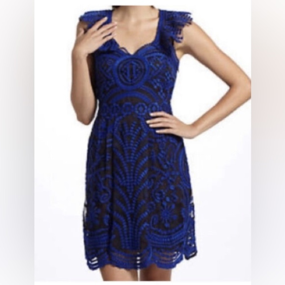 Anthropologie Embroidered Lace Dress